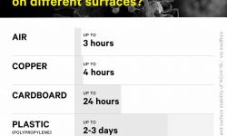 How long do viruses live on surfaces